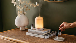 NEOM Wellbeing Pod Plugs