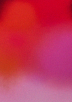 <strong>FREE </Strong> Next Day UK Delivery with Orders £120+