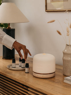 The Wellbeing Pod Luxe