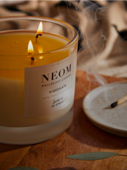 Sustainability at NEOM