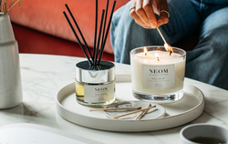 Relaxing Home Fragrance Essentials For Less