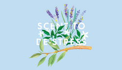 Here...have some Real Luxury!