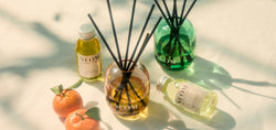 Summer Scents