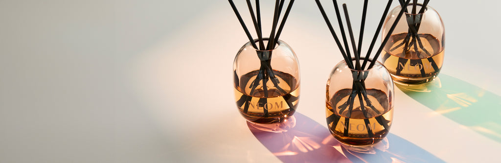 Reed Diffusers in glass containers on a reflective surface