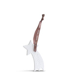 Ceramic Shooting Star Natural Diffuser