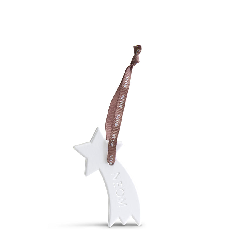 Ceramic Shooting Star Natural Diffuser