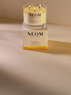 Happiness Scented Candle (3 Wick)