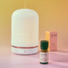 Great Day Essential Oil Blend 10ml