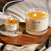 Hibernate Scented Candle (3 Wick)