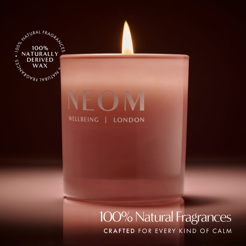 The Wind Down Scented Candle (1 Wick)