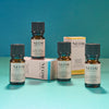 NEOM essential oil bottles and packaging on a teal background