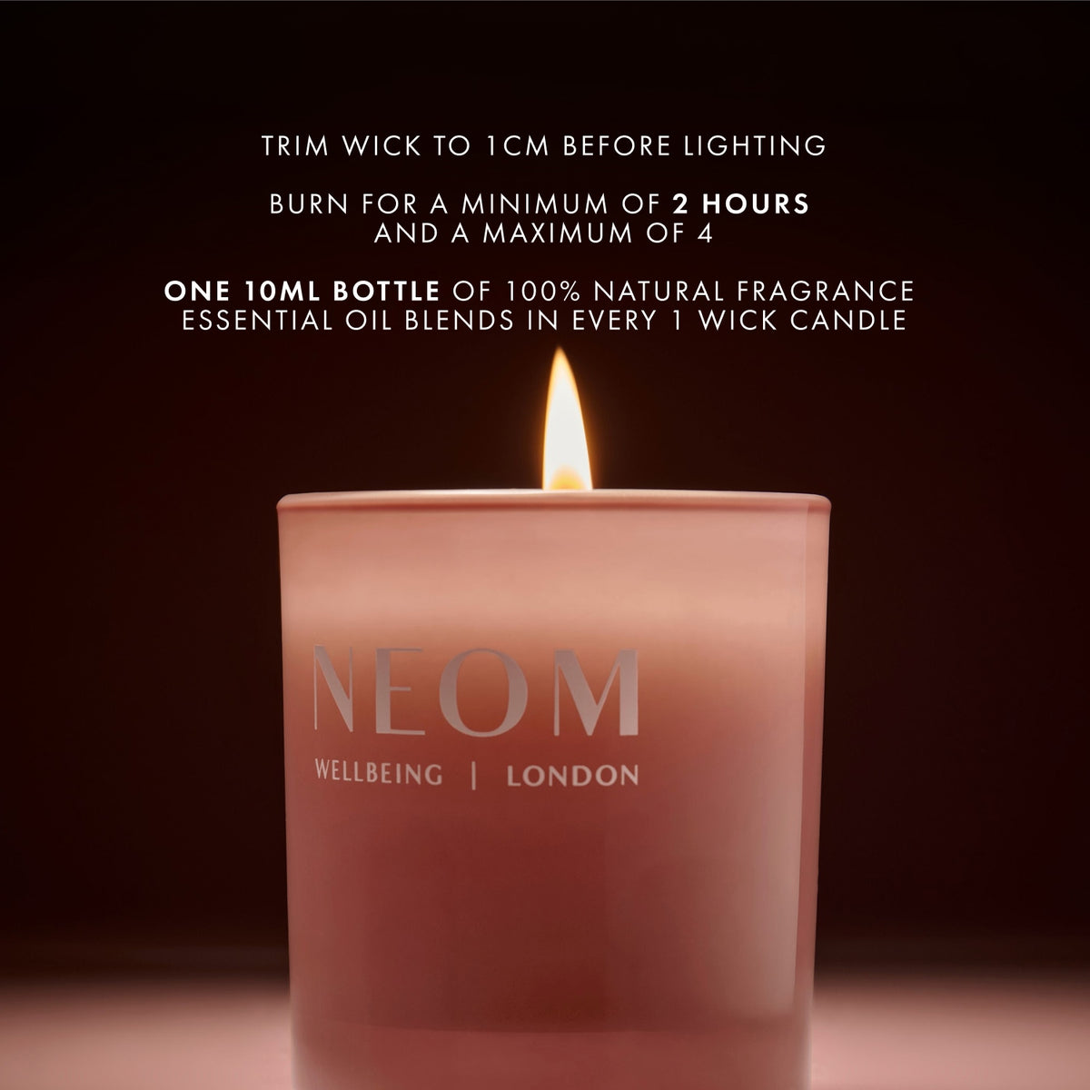 The Wind Down Scented Candle (1 Wick)