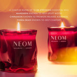 Christmas Wish Scented Candle (1 Wick)