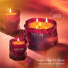 Christmas Wish Scented Candle (3 Wick)