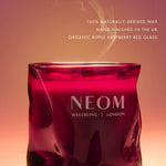 Christmas Wish Scented Candle (Travel)
